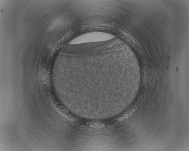 X0000060550258200512011624