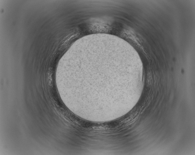 X0000060550259200512011624