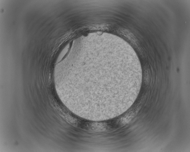 X0000060550261200512011624