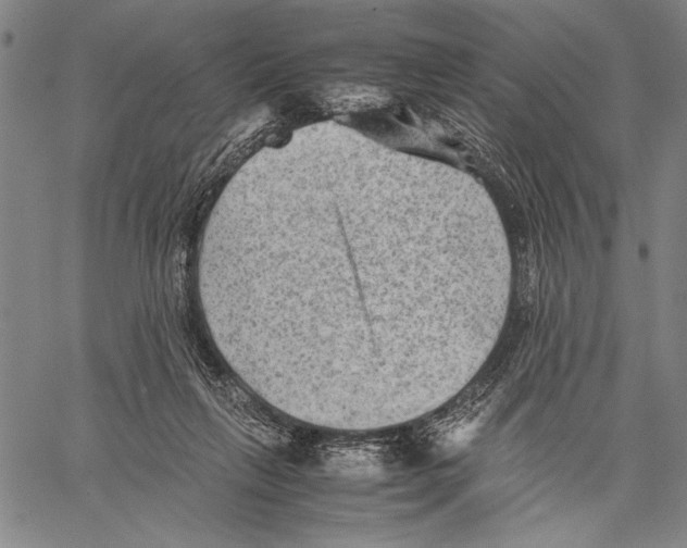 X0000060550263200512011624