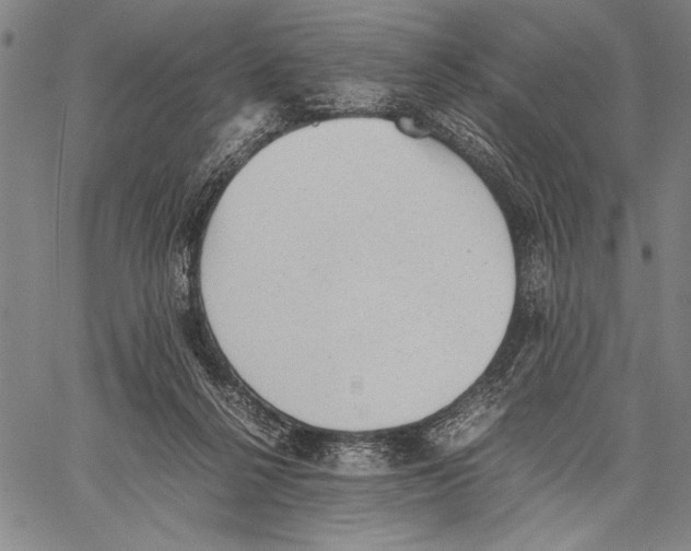 X0000060550264200512011624