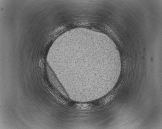 X0000060550265200512011624