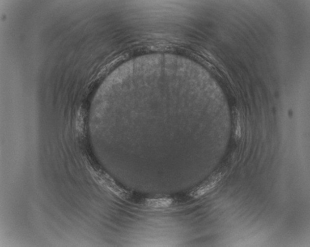 X0000060550266200512011624