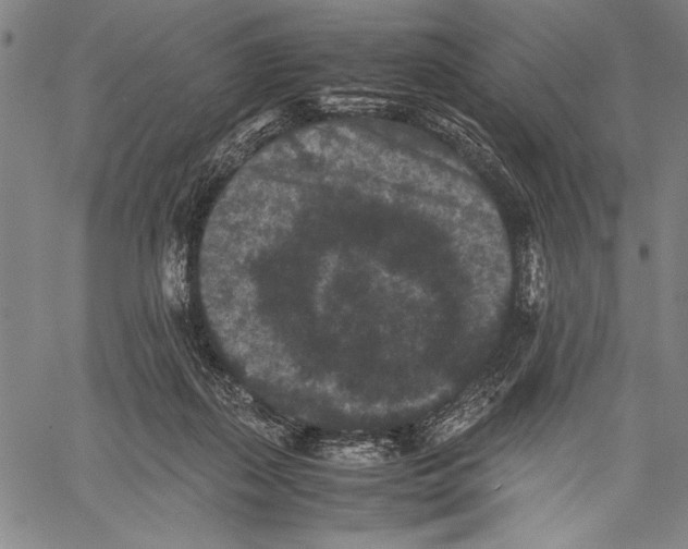 X0000060550267200512011624