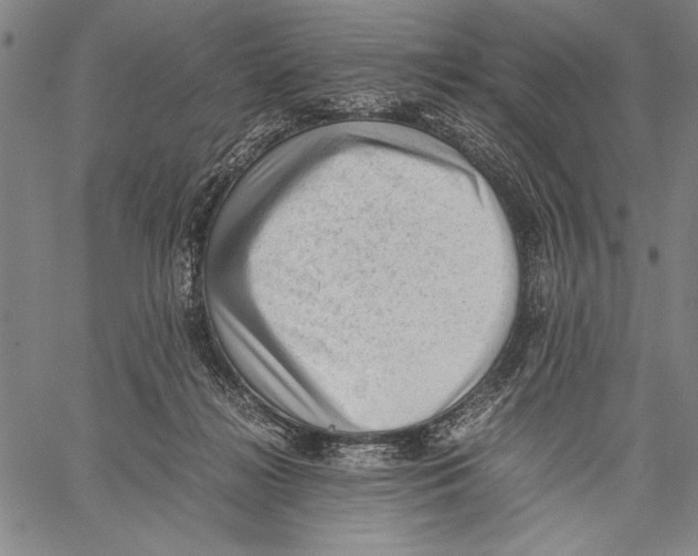 X0000060550268200512011624