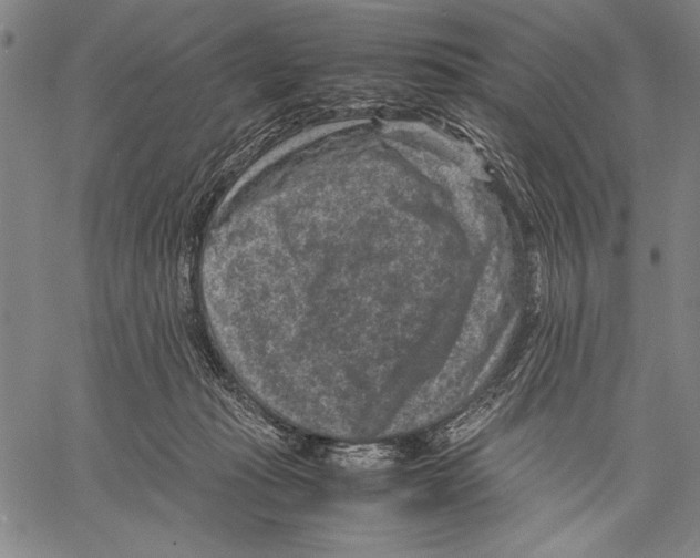 X0000060550269200512011624