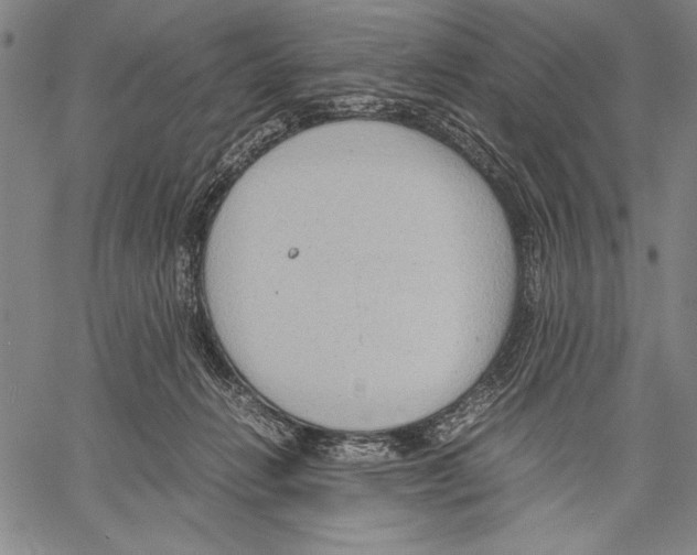 X0000060550270200512011624