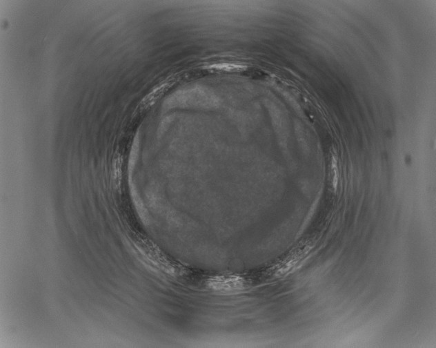 X0000060550271200512011624