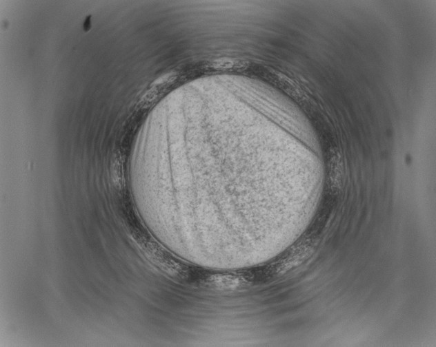 X0000060550272200512011624