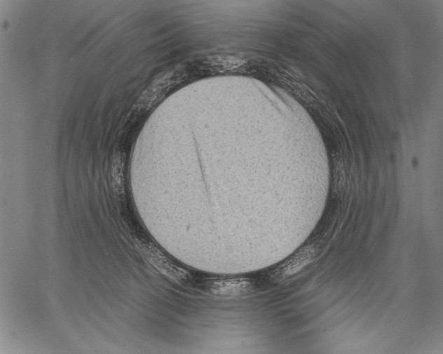 X0000060550274200512011624