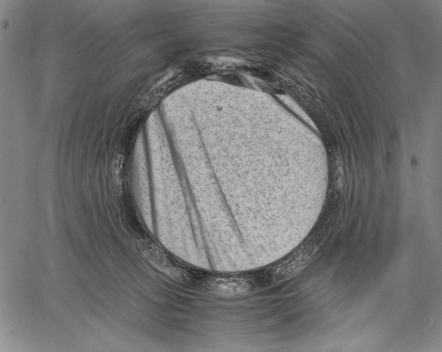 X0000060550275200512011624