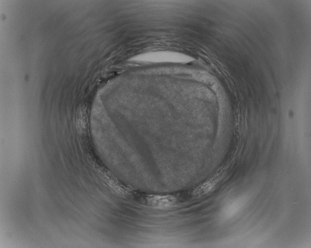 X0000060550277200512011624