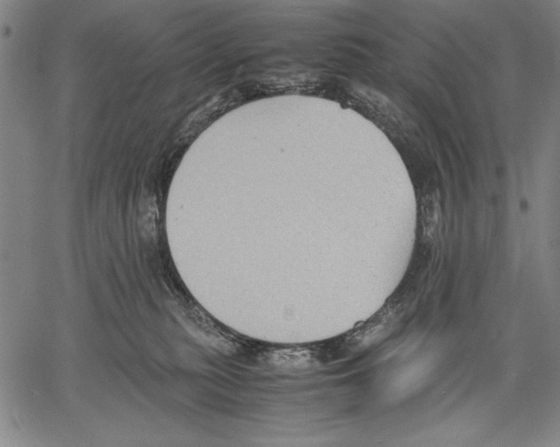 X0000060550279200512011624