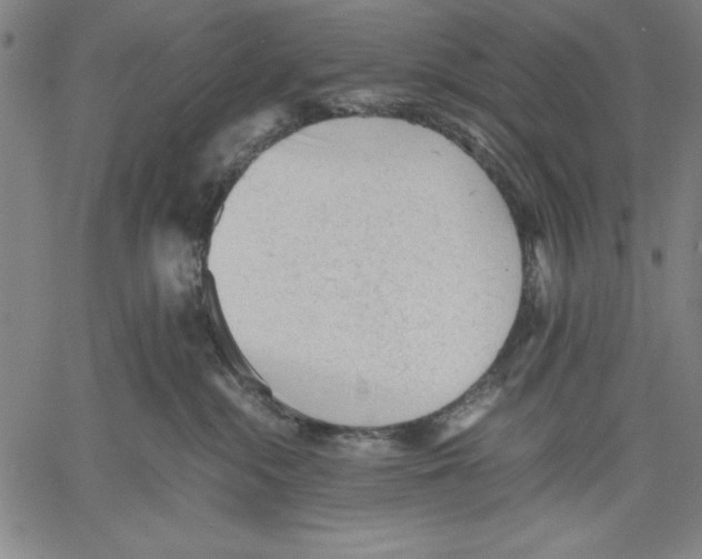 X0000060550284200512011624