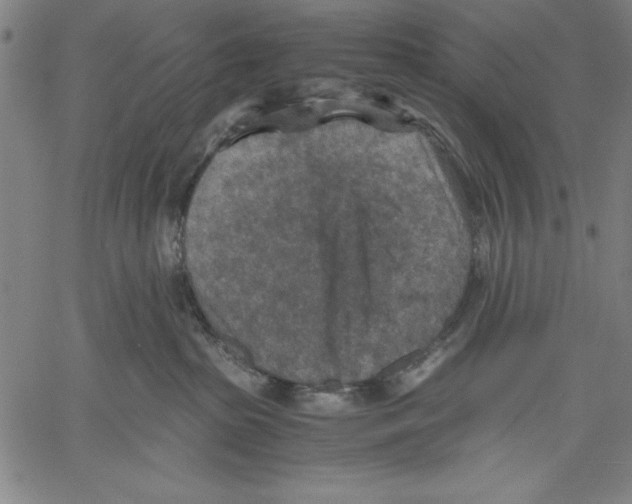 X0000060550285200512011624