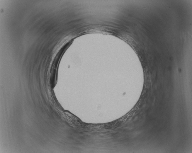 X0000060550289200512011623