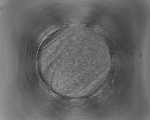 X0000060550290200512011623