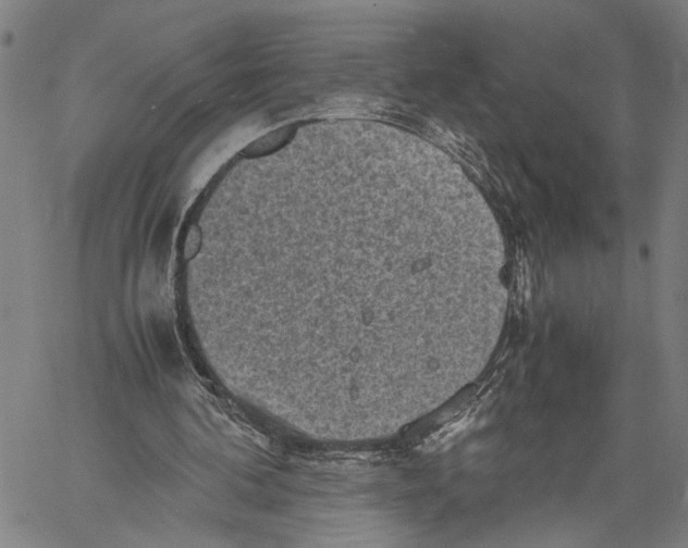 X0000060550292200512011623