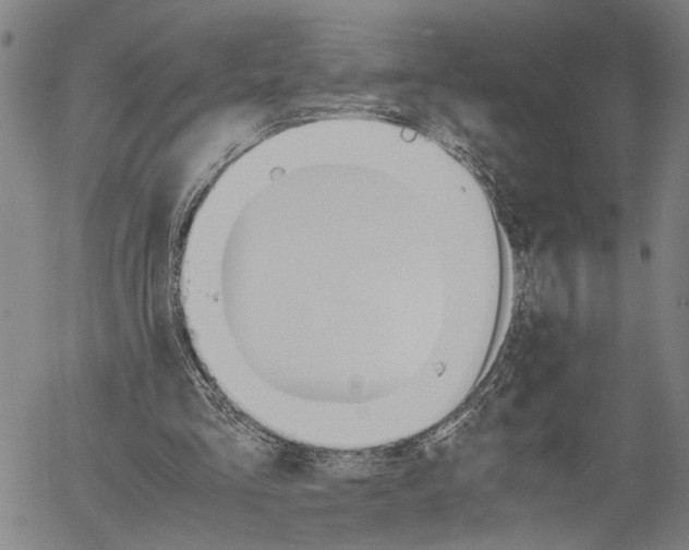 X0000060550293200512011623