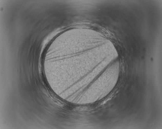 X0000060550294200512011623