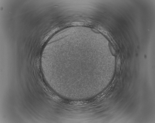 X0000060550297200512011623