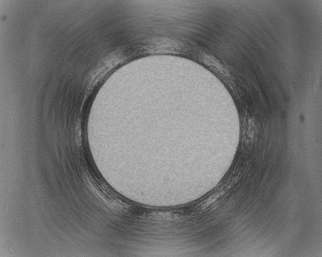 X0000060550298200512011623