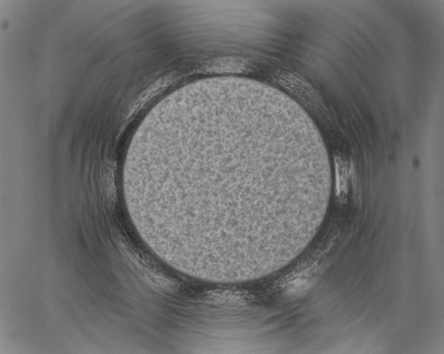 X0000060550300200512011623