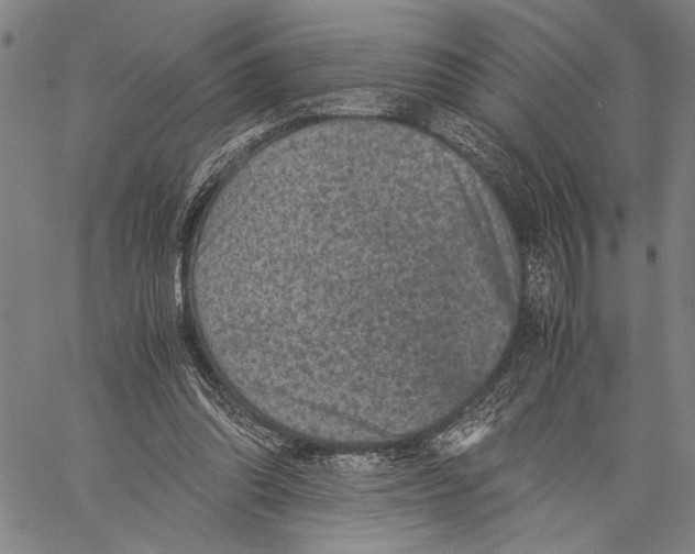 X0000060550302200512011623