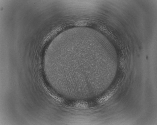 X0000060550303200512011623