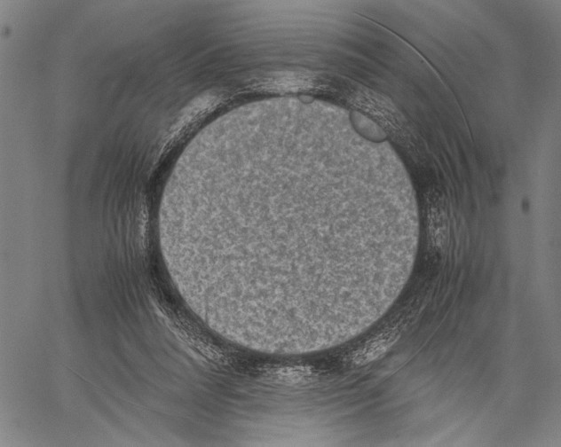 X0000060550304200512011623