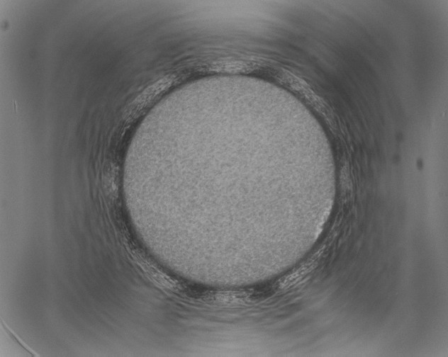 X0000060550305200512011623