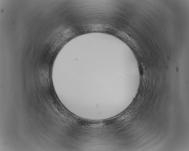 X0000060550306200512011623