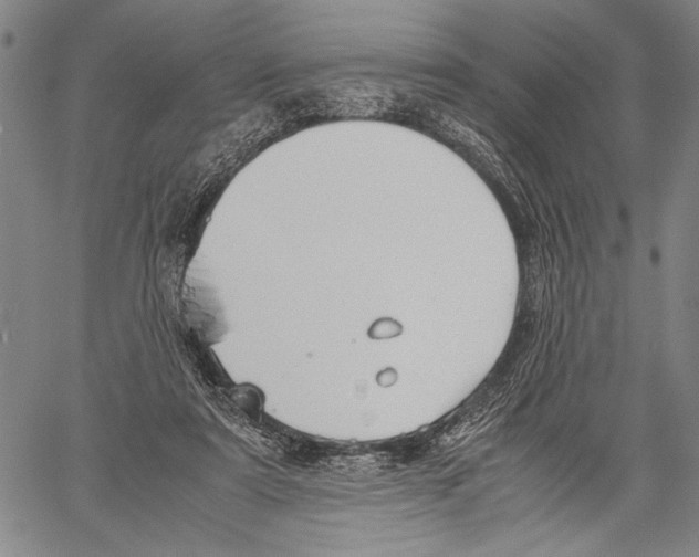 X0000060550307200512011623