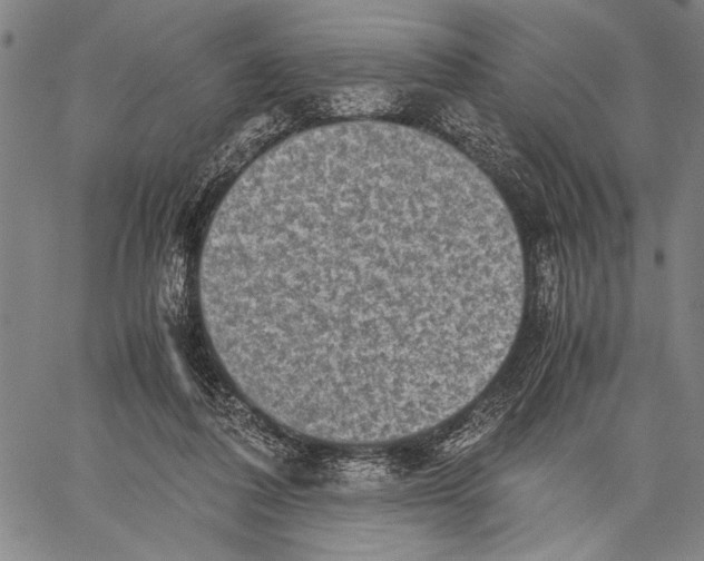 X0000060550308200512011623