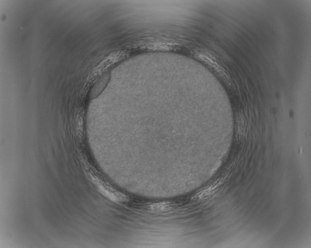 X0000060550309200512011623