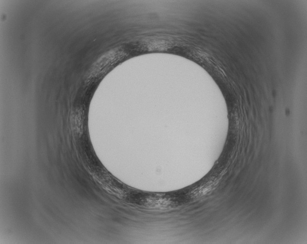 X0000060550311200512011623