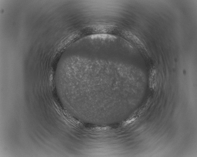 X0000060550314200512011623