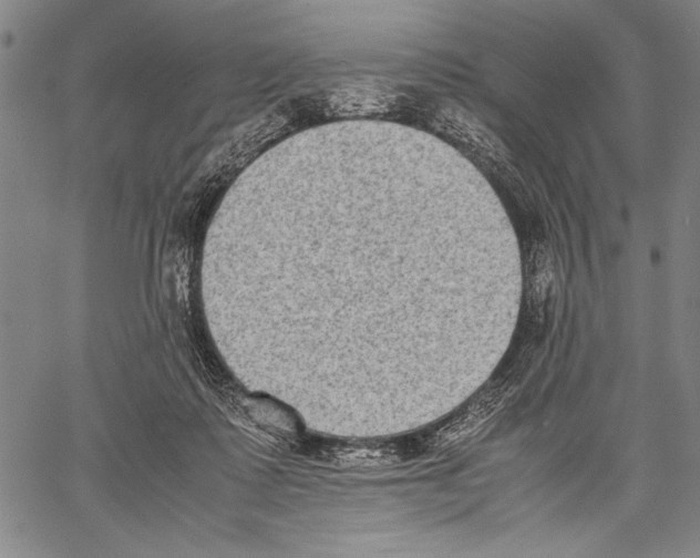 X0000060550315200512011623