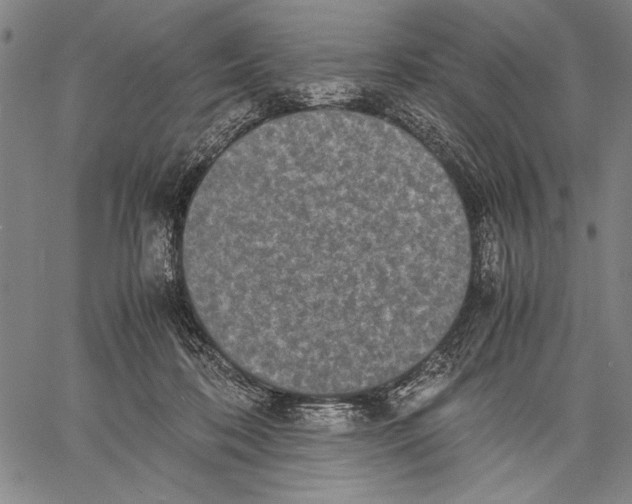 X0000060550316200512011623