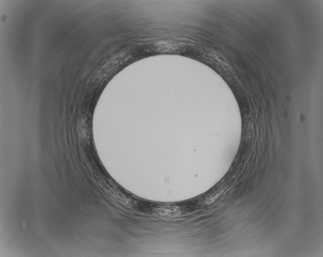 X0000060550317200512011623