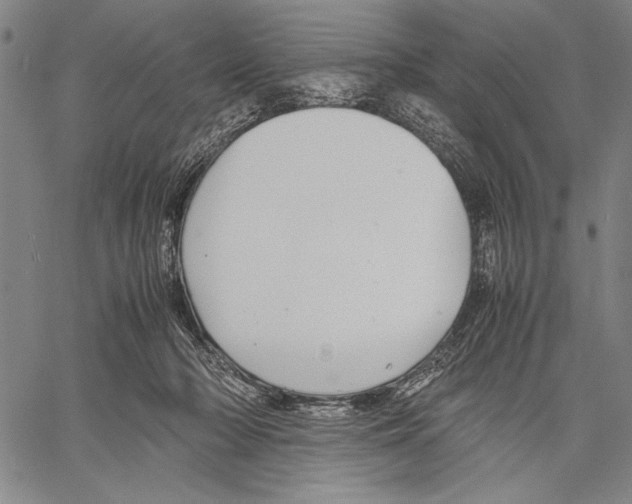 X0000060550318200512011623