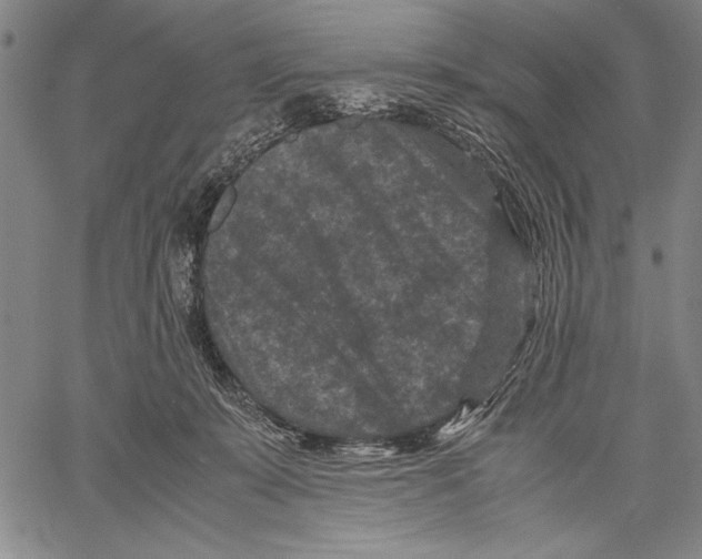 X0000060550319200512011623