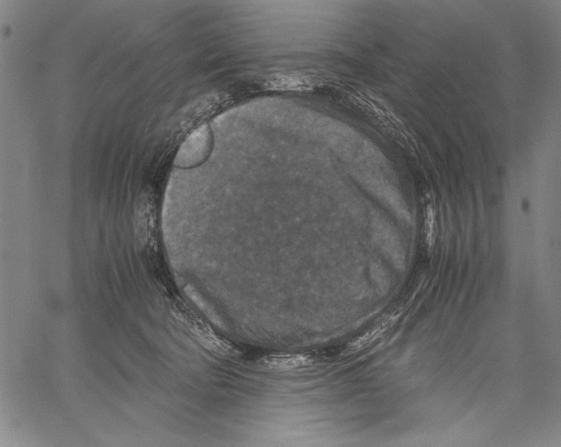 X0000060550322200512011623