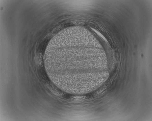 X0000060550323200512011623