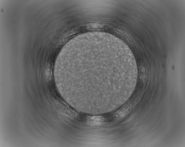 X0000060550324200512011623