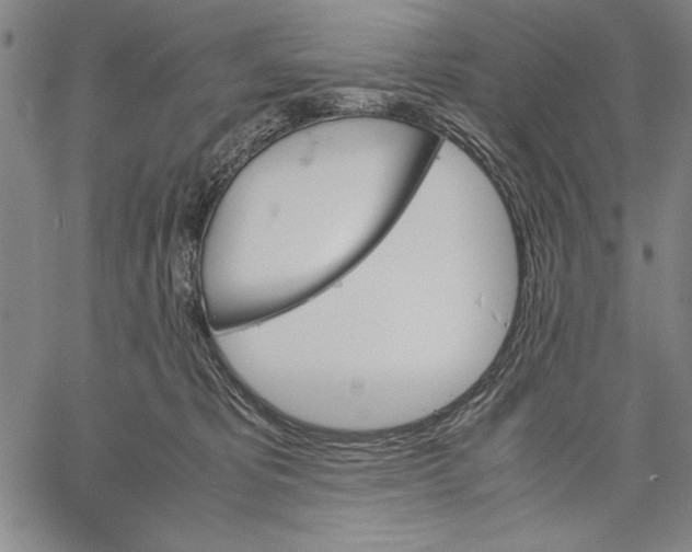 X0000060550325200512011623