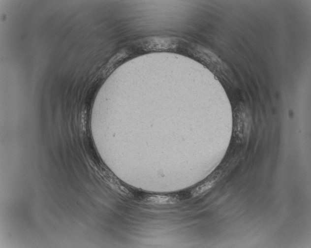 X0000060550326200512011623