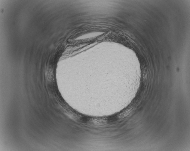 X0000060550327200512011623