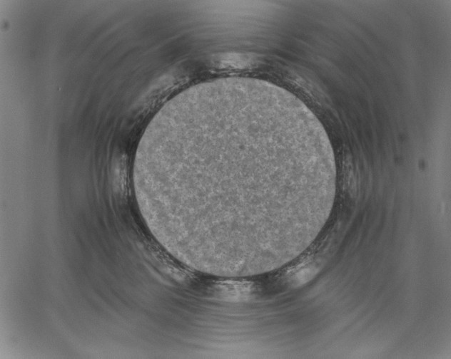 X0000060550328200512011623