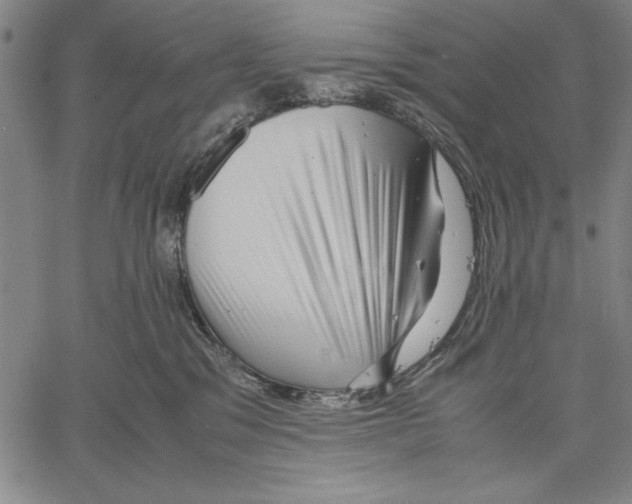 X0000060550329200512011623